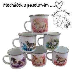 Plecháček s poselstvím Willi